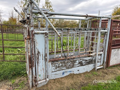 Pearson Livestock Cattle Shute