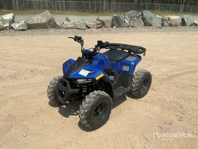 2021 Tao Tao 4x2 Electric ATV