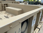General Appearance with Paint