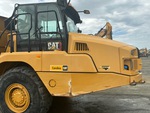 General Appearance with Paint