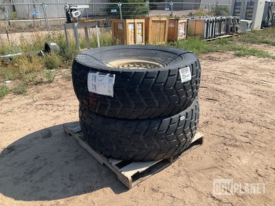 (2) Sand Trail 450/80R20 M.O.V. Tires