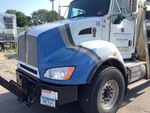 General Appearance with Paint