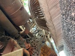 Drivetrain with Transmission
