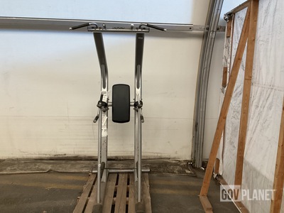 Life Fitness Chin/Dip/Leg Raise Machine