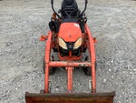 General Appearance with Paint