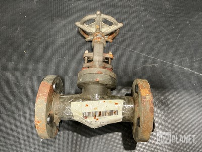 Flowserve 483 1IN Globe Valve