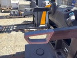 General Appearance with Hand Rails