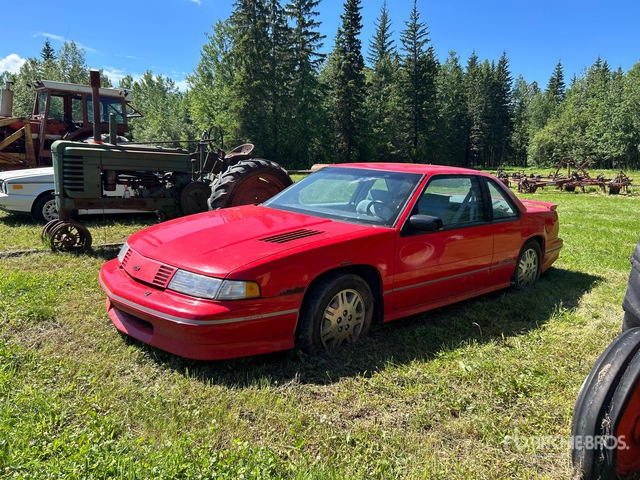 2G1WP11X6M9222215 1991 Chevrolet Lumina Z34 photo no. 1