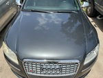 General Appearance with Paint