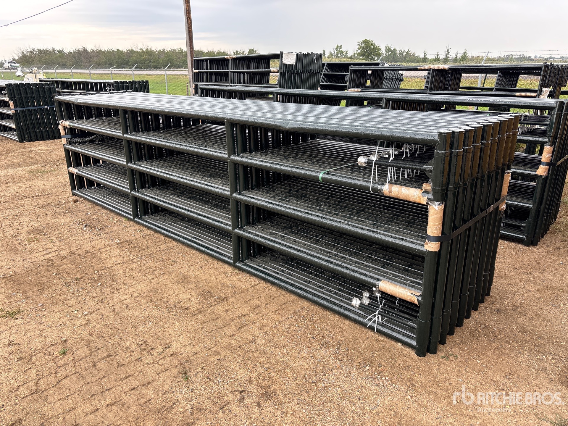 Quantity of (16) 2026 BYT MRG160 16 ft x 4 ft Magnum Ranch Livestock Gate (Unused)