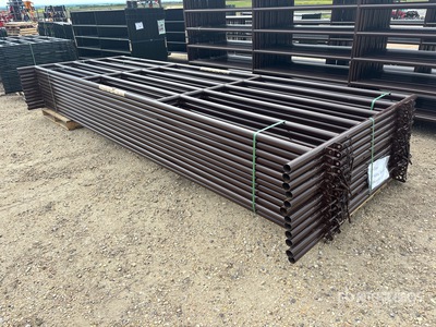 Quantity of (12) 2026 BYT HDALYPNL16 16 ft x 6 ft Alley Panneau pour bétail (Unused)