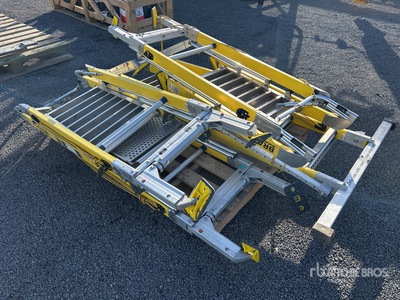 Quantity of Branach 150 Kg Ladder