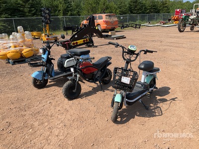 Electric Scooter