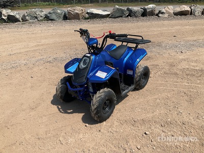 2022 Tao Tao 4x2 Electric ATV (Unused)