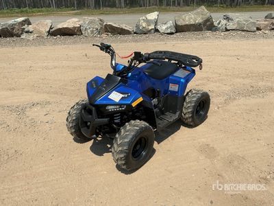 2021 Tao Tao 4x2 Electric ATV (Unused)
