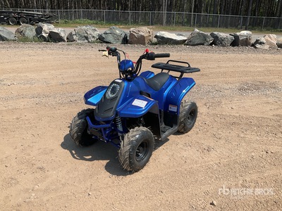 2022 Tao Tao 4x2 ATV