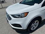 General Appearance with Paint