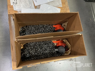 (2) A3195-20MZ Lever Hoists