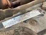 Motor with Emission Label