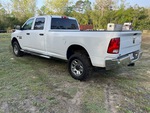 Picture, Left Rear Corner