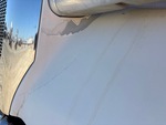 General Appearance with Paint