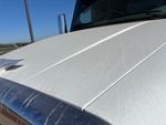 General Appearance with Paint