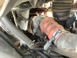 Engine with Exhaust System