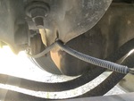 Engine with Oil Leaks
