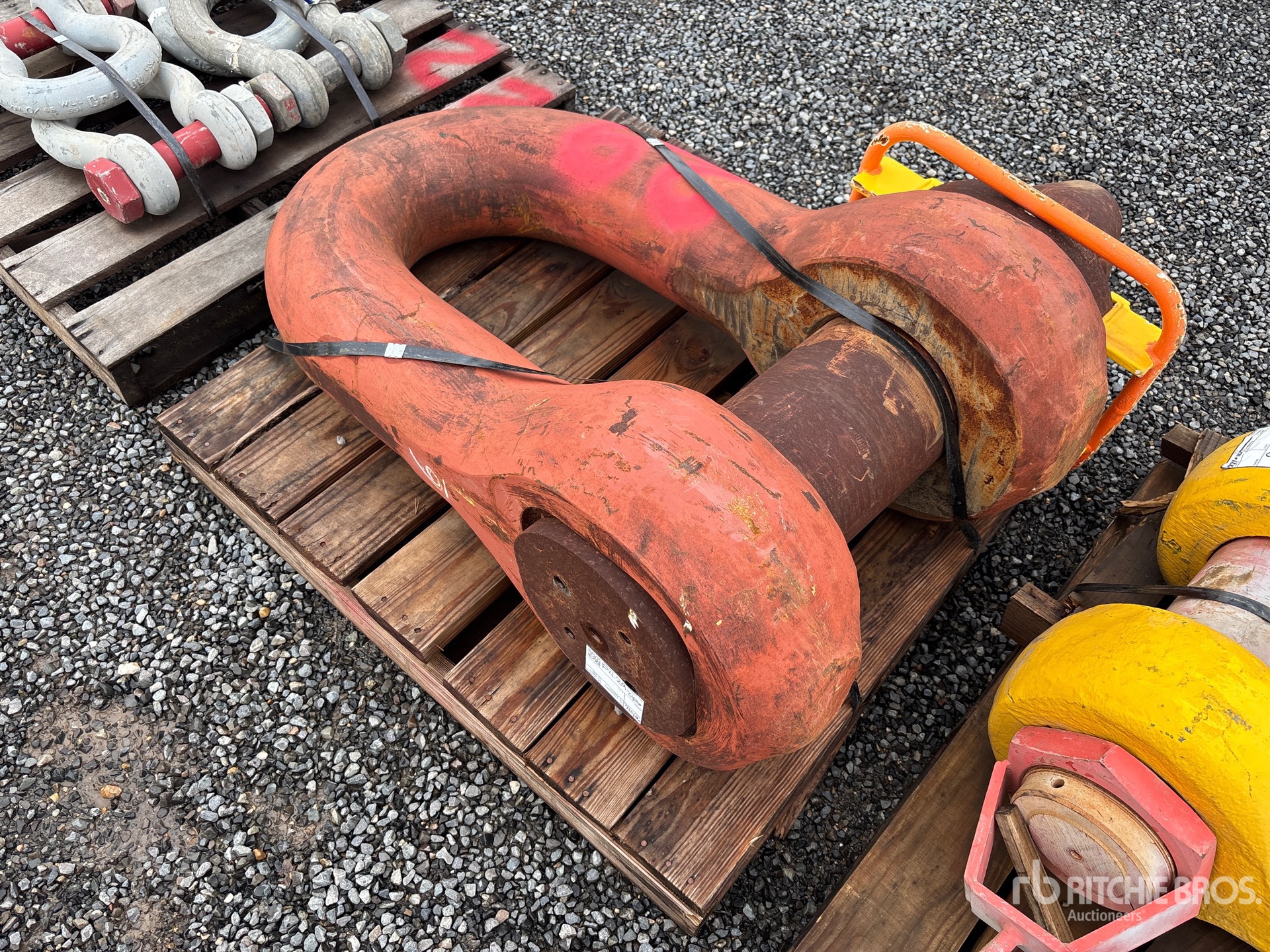8 in Shackle