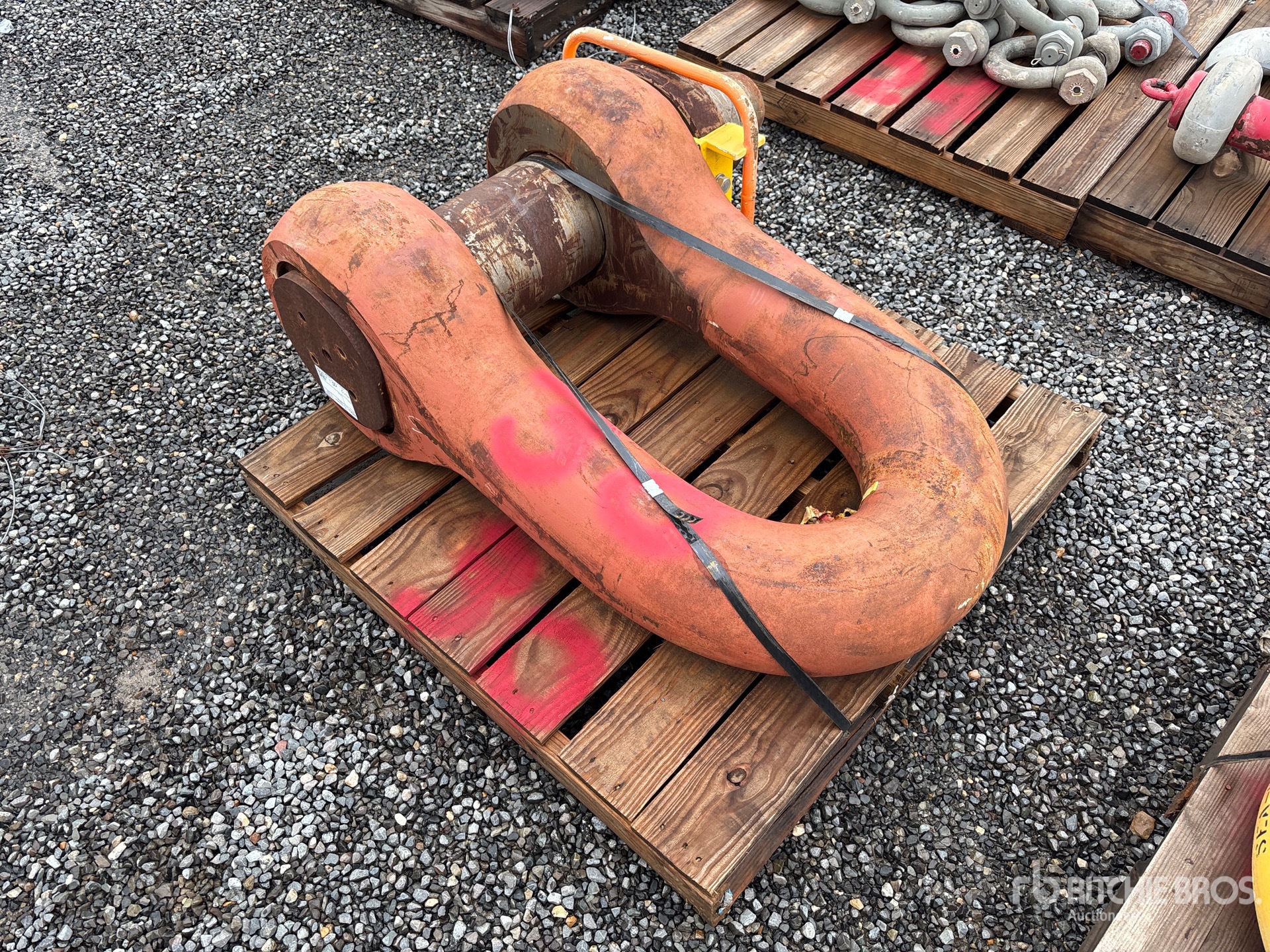 8 in Shackle