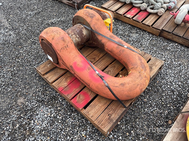 8 in Shackle