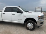 General Appearance with Paint