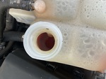 Motore with Cooling System Leaks