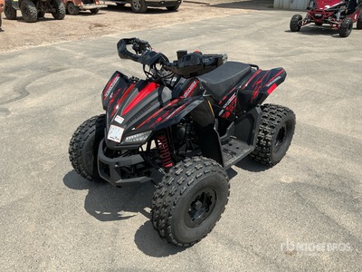 2021 Tao Motors 4x2 ATV (Unused)