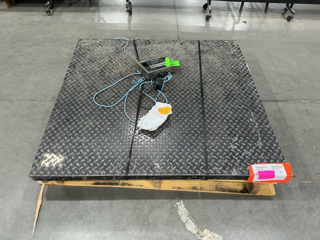 Transcell Floor Scale