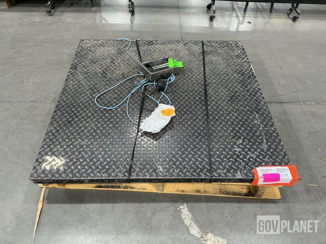 Transcell Floor Scale