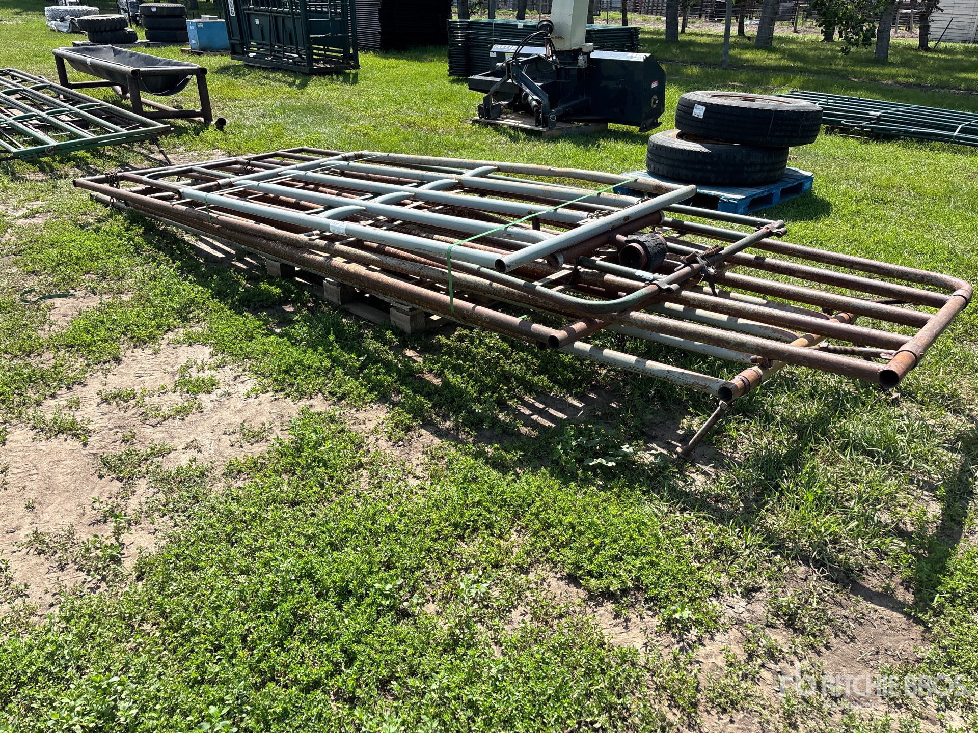 Quantity of (6) Swing Livestock Gate