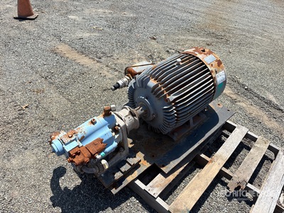 Electric motor and hydraulic pump