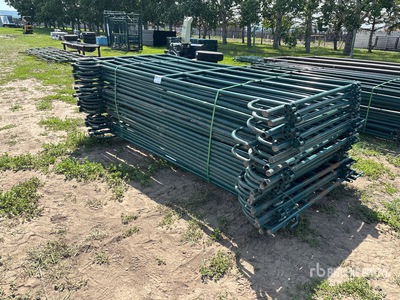 Quantity of (22) 10 ft Panneau pour bétail