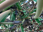 Chassis Photos with