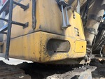 General Appearance with Paint