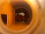 Engine with Radiator
