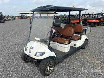Electric Golf Cart