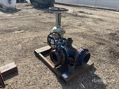 WCB 10 in Gate Valves