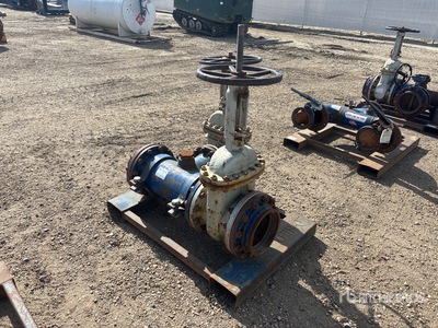 WCB 10 in Gate Valves
