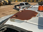 General Appearance with Paint