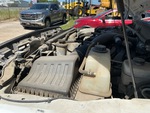 Engine with Radiator