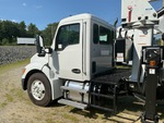 General Appearance with Paint