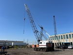 Picture, Left Rear Corner