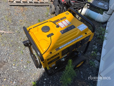 Dewalt DXGNR8000 Draagbare generatorset